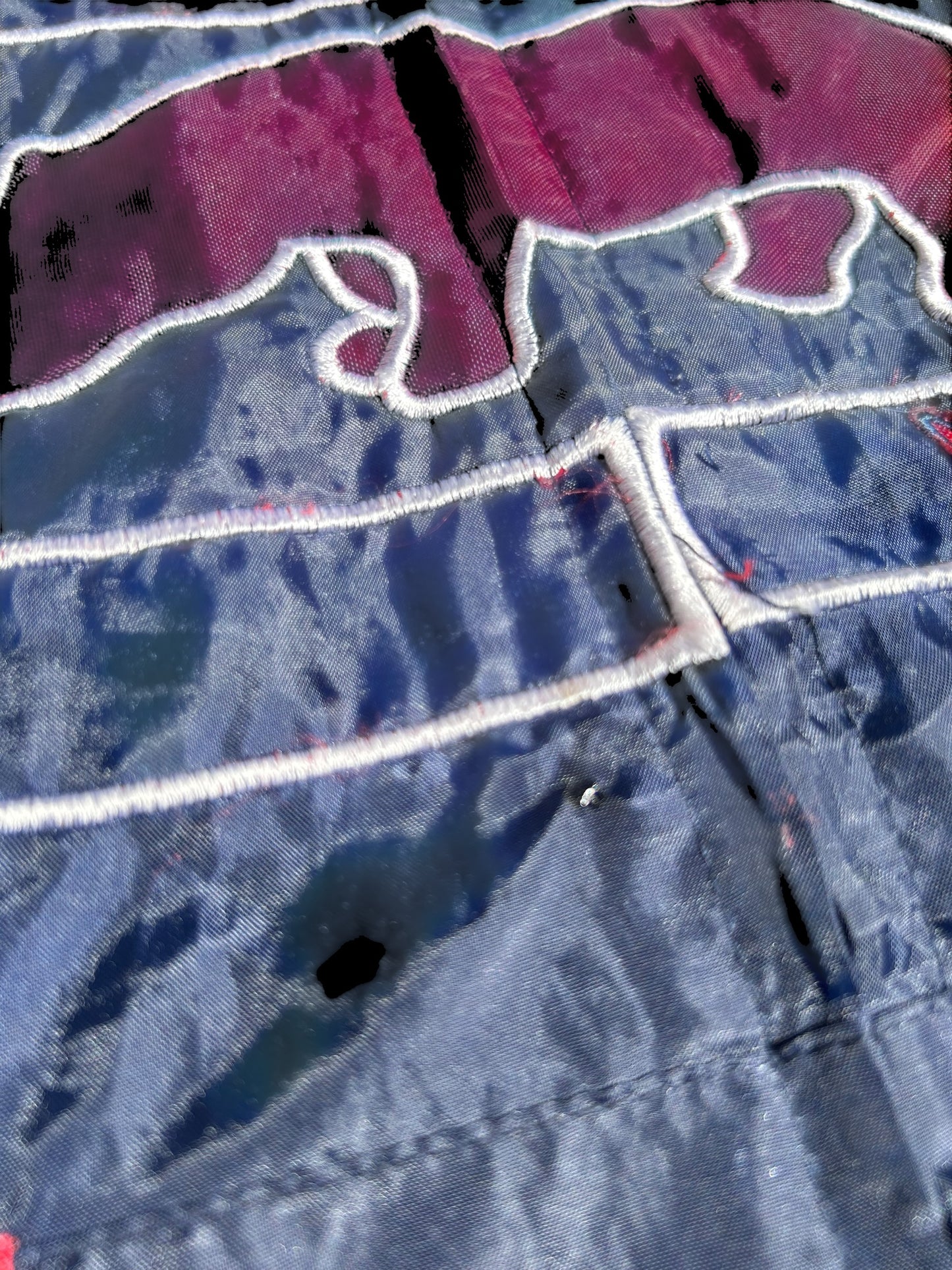 Ecko Unltd Windbreaker Y2K