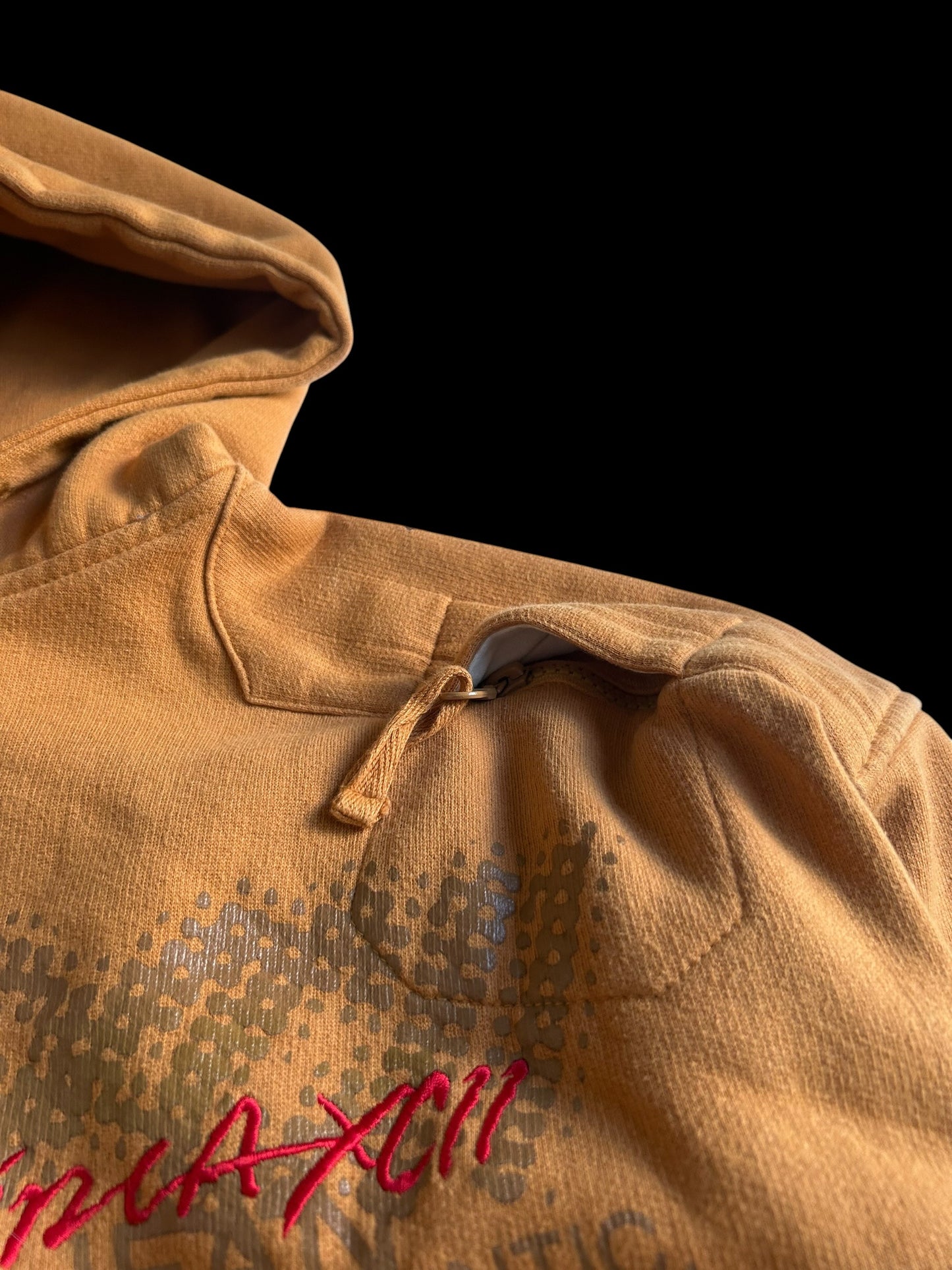 Fubu boxy Hoodie Y2K